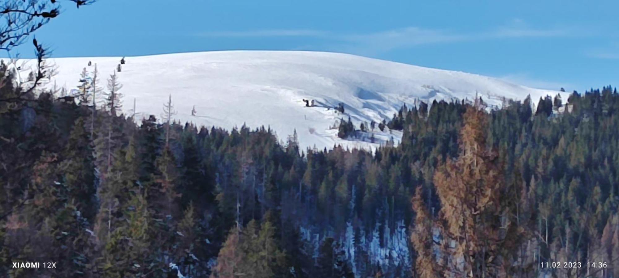 Schicke Ferien Wohnung Mit Tollem Ausblick In Schwarzwald. Філлінген-Швеннінген Екстер'єр фото