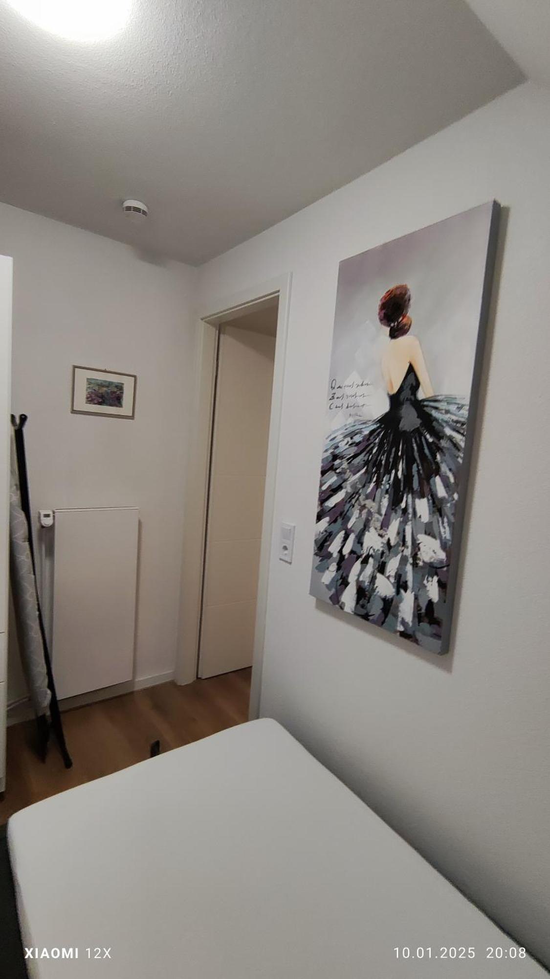 Schicke Ferien Wohnung Mit Tollem Ausblick In Schwarzwald. Філлінген-Швеннінген Екстер'єр фото